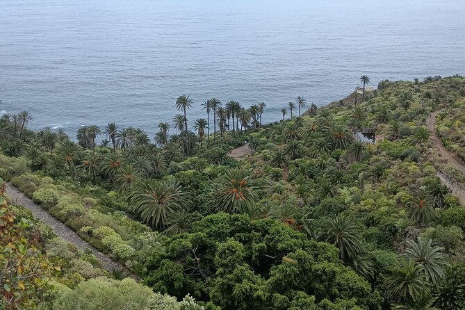 6hrs-private-tour-in-north-coast-of-tenerife