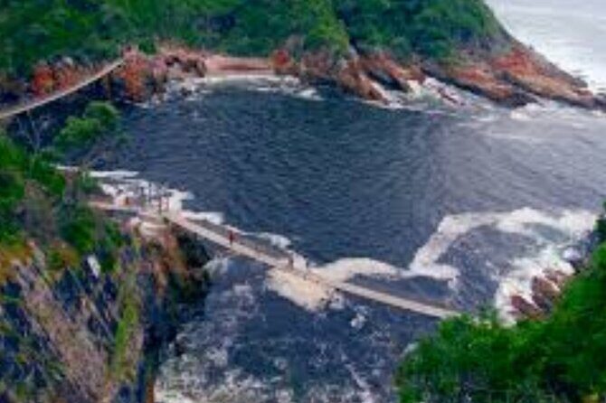 7- 10 Days Tour Package Cape Town and Garden Route - Who Is This Tour Best Suited For?