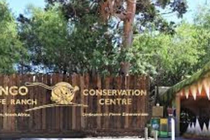 7- 10 Days Tour Package Cape Town and Garden Route - The Sum Up