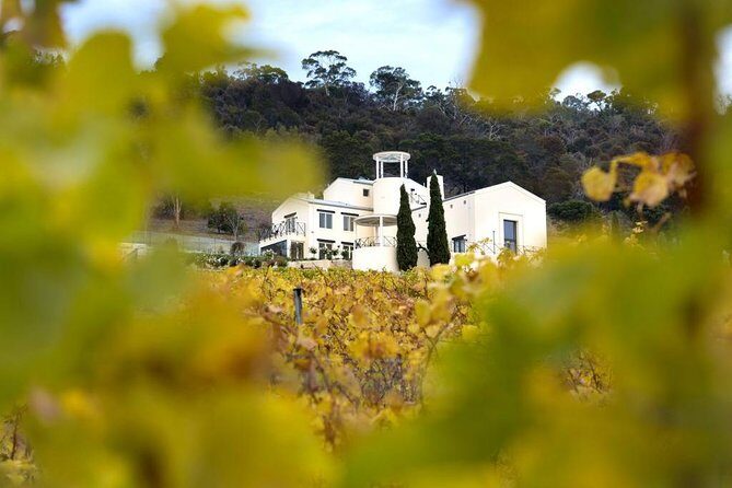 7- 8 Hour StelaVino Guided Wine Tours From Hobart, Tasmania - The Experience in a Nutshell