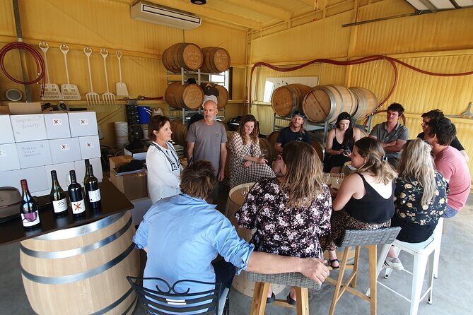 7- 8 Hour StelaVino Guided Wine Tours From Hobart, Tasmania - Practical Details and Tips