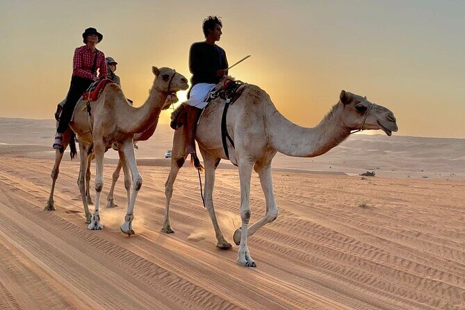 7-8 Hours Private Desert Adventure Trip with Activities - The Itinerary in Detail