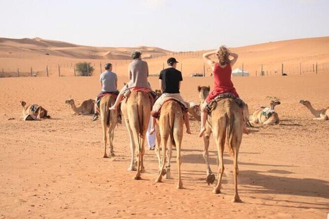 7-8 Hours Private Desert Adventure Trip with Activities - Final Thoughts