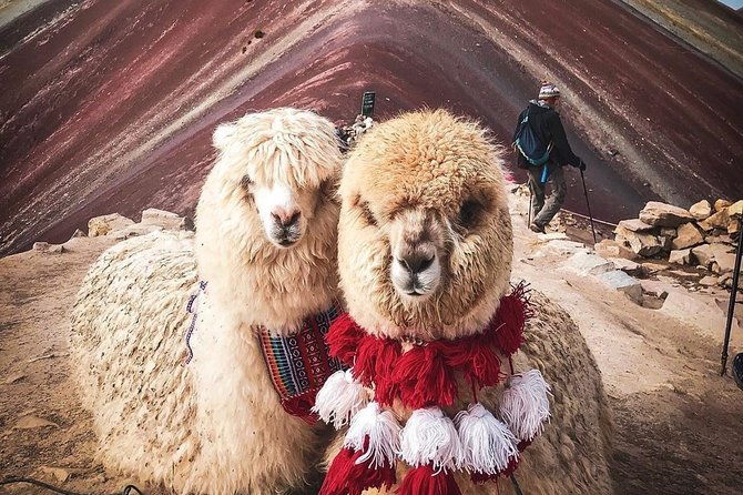 7-colors-mountain-tour-explore-the-magic-of-vinicunca-in-1-day