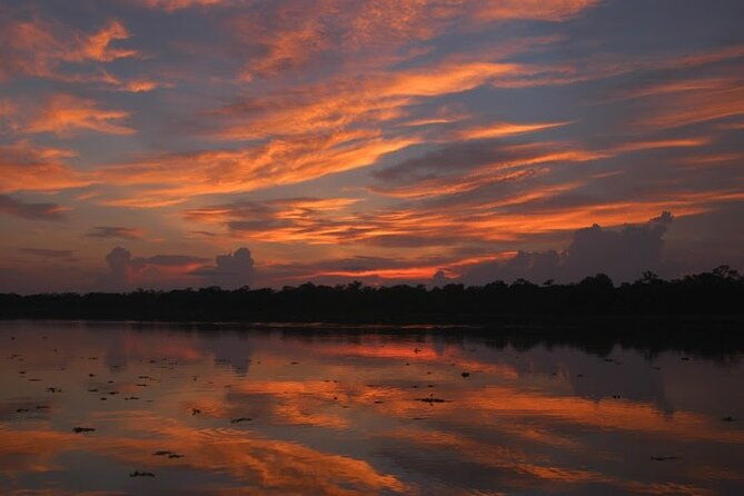 7-day-all-inclusive-guided-jungle-tour-from-iquitos-at-maniti-eco-lodge