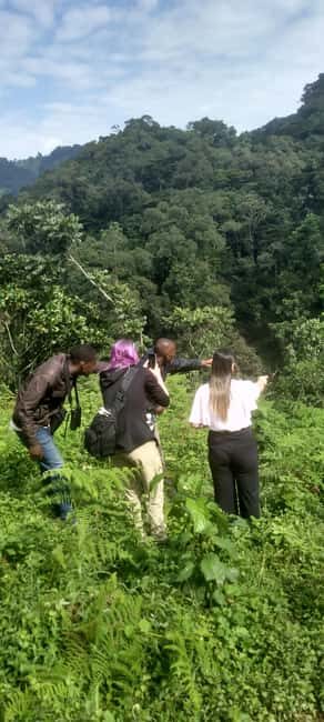7-Day Best of Rwanda & Uganda Primate Safari - A Detailed Look at the 7-Day Itinerary
