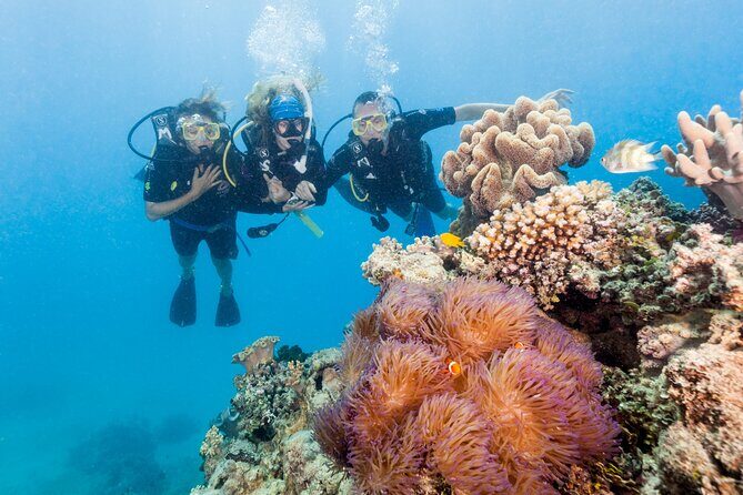 7 Day Brisbane to Cairns Boutique Whitsundays Great Barrier Reef - Key Points