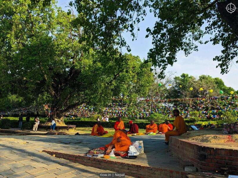 7-day-buddhist-meditation-retreat-in-lumbini
