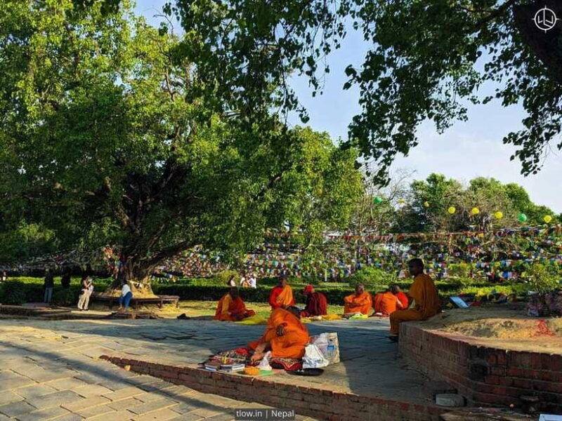 7-day-buddhist-meditation-retreat-in-lumbini