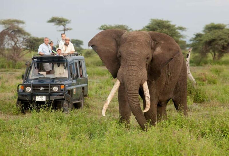 7-Day Classic Northern Circuit Safari - Potential Drawbacks or Considerations