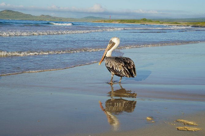 7-day-galapagos-essentials