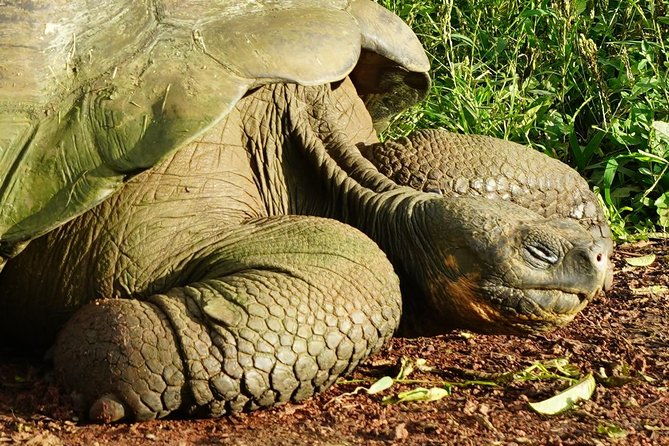 7-day-galapagos-essentials