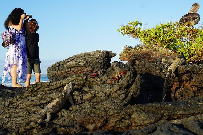 7-day-galapagos-essentials