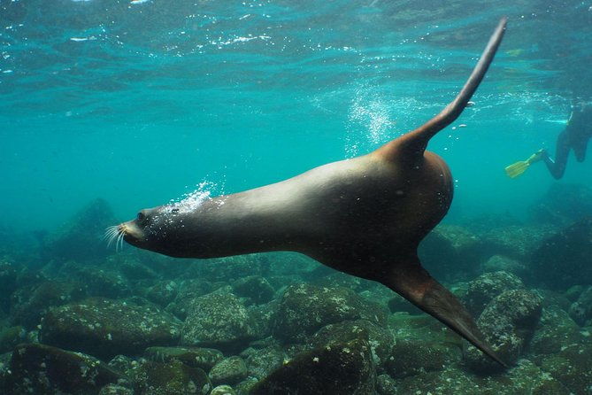 7-day-galapagos-island-classic-tour-los-tuneles-and-local-flight