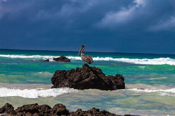 7-day-galapagos-island-classic-tour-los-tuneles-and-local-flight