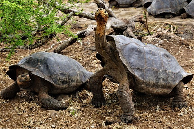 7-day-galapagos-magic-expedition