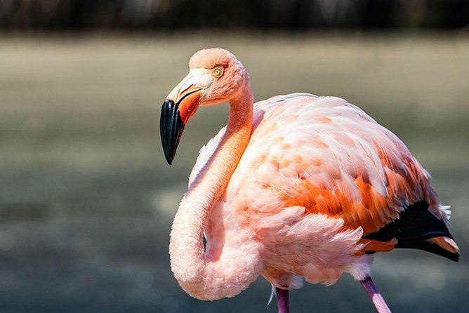 7-day-galapagos-on-a-budget-experience