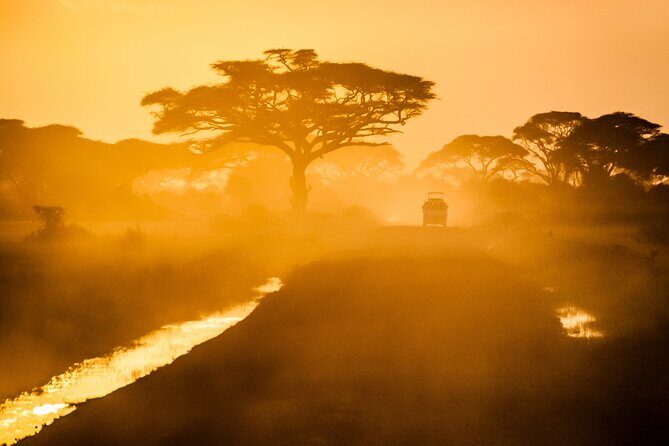 7 Day Grand Tanzania Safari - The Sum Up: Who Is This Safari Best For?