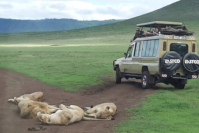 7-Day Great Migration Safari - A Closer Look at the 7-Day Itinerary