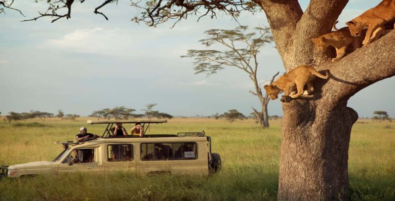 7-Day Group Safari from Zanzibar: - Overview and What Makes This Safari Special