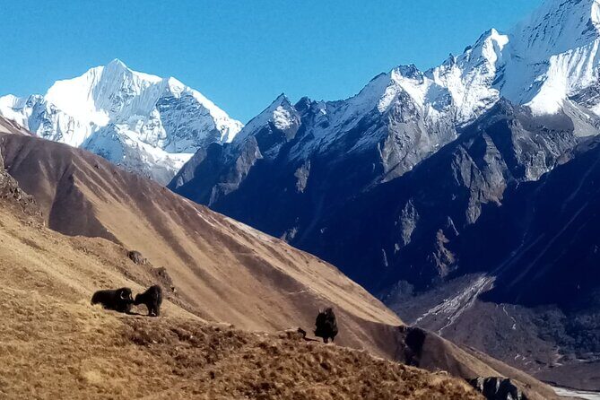 7 Day Guide Only for Private Langtang Trek from Kathmandu - Key Points