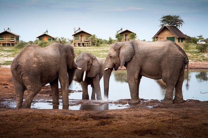 7 Day Highlights Of Botswana Overland Tour  ACCOMODATED (midrange) - An Honest Look at the 7-Day Highlights Of Botswana Overland Tour