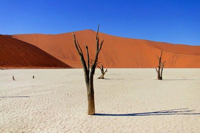 7 Day - Kalahari TOP attractions - Who Is This Tour Best For?