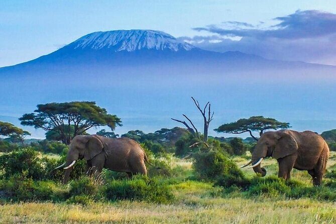 7-Day Kilimanjaro Climb Machame Route - Introduction: Why the Machame Route?