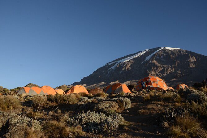 7-Day Kilimanjaro Hiking Tour via Machame Route - Key Points