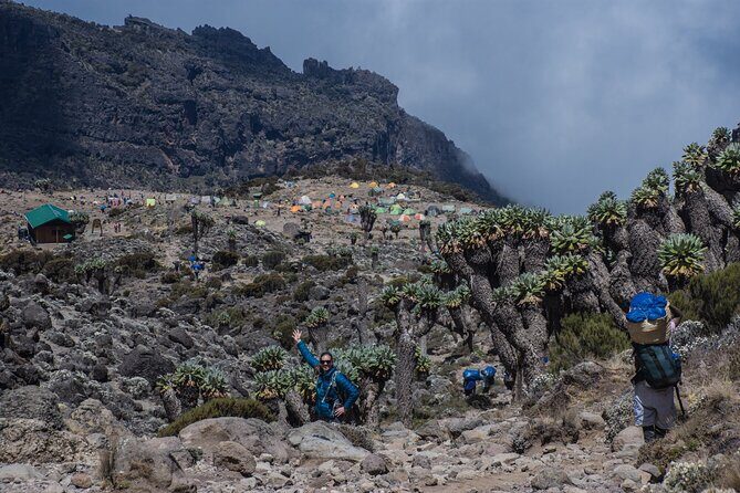 7 Day Kilimanjaro Machame climb - FAQs