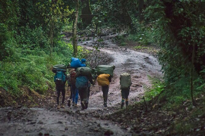 7 Day Kilimanjaro Machame climb - Final Thoughts