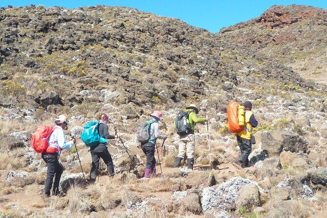 7 Day Kilimanjaro Rongai climb - Final Thoughts