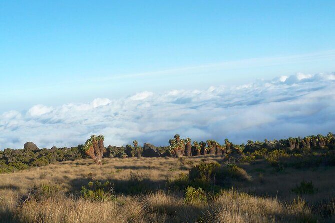 7 Day Kilimanjaro Rongai climb - FAQ