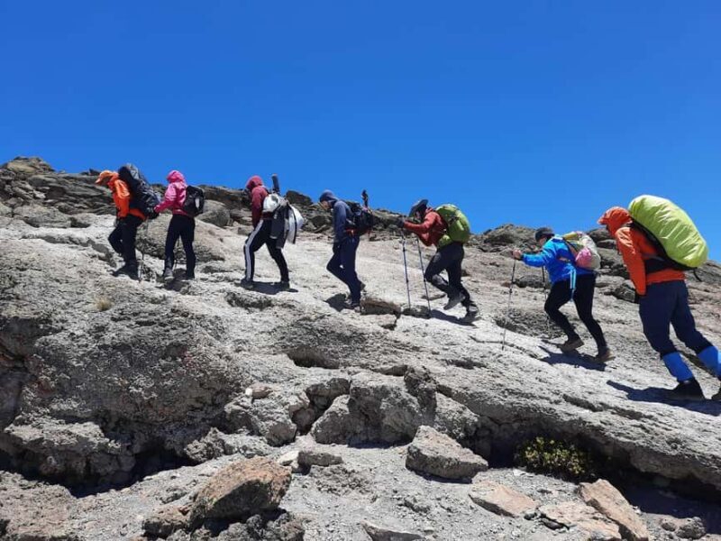 7-Day: Kilimanjaro Trek via Machame Route - What Reviewers Say