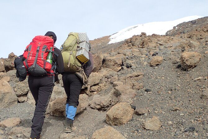 7-Day Kilimanjaro Trekking Tour via Machame Route - FAQs