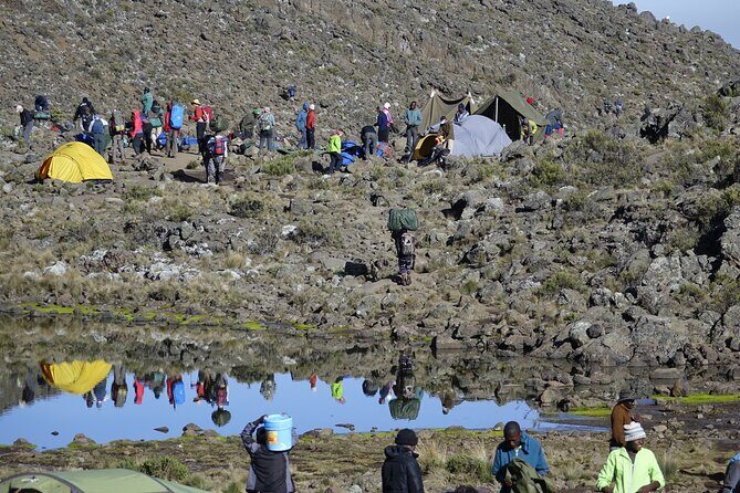 7-Day Kilimanjaro Trekking Tour via Machame Route - Final Thoughts