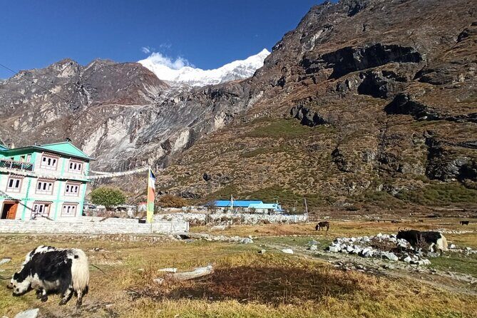 7-Day Langtang Valley Trek from Kathmandu - FAQs