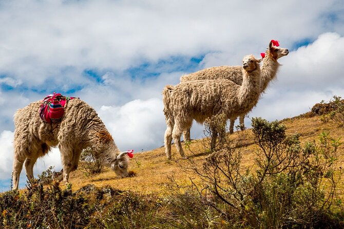 7-day-lares-trek-to-machu-picchu-private-service