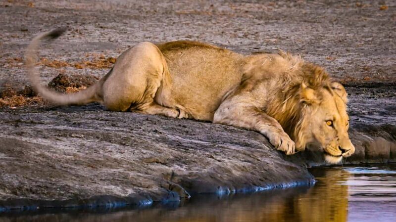 7-Day Luxury Safari: Samburu, Nakuru & Masai Mara Adventure - Analyzing the Itinerary: What to Expect at Each Stop