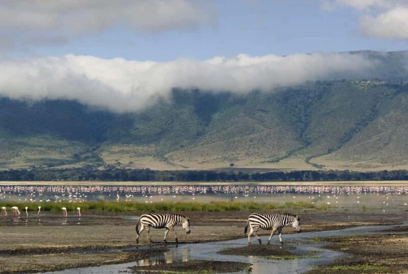 7-Day Luxury Serengeti Safari & Balloon Adventure - Practical Tips for Travelers