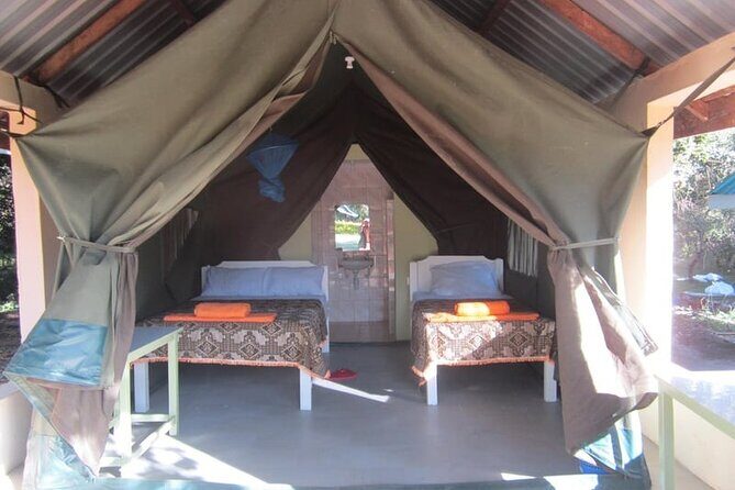 7-Day Maasai Mara Nakuru Lake Naivasha and Amboseli Safari - A Closer Look at the Itinerary