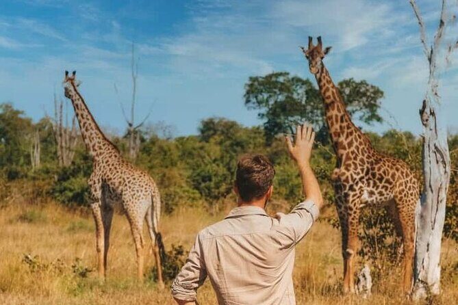 7-Day Masai Mara Nakuru Amboseli Kenya Budget Safari - Key Points