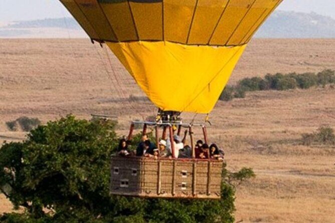 7-Day Masai Mara Nakuru Amboseli Kenya Budget Safari - Who Is This Tour Best For?
