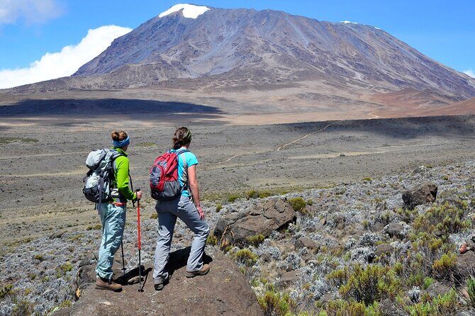 7-Day Mountain Climbing in Machame Route - The Experience You Can Expect