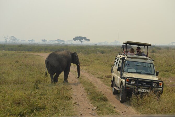 7-Day North Tanzania Classic Safari - The Sum Up: Who Will Love This Safari?