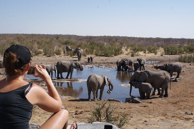 7 Day Northern Namibia and Skeleton Coast Camping Safari - Exploring the Itinerary in Detail