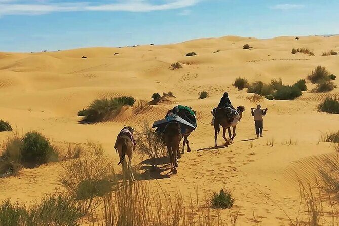7-Day Northern South Tour from Tunis - Key Points