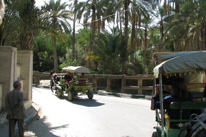 7-Day Northern South Tour from Tunis - FAQ