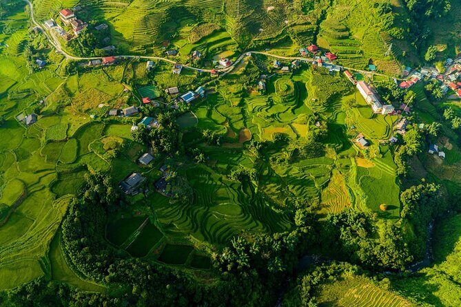 7-Day Northern Vietnam Discovery: Sapa, Ninh Binh & Halong Bay - A Practical Look at the 7-Day Northern Vietnam Discovery Tour