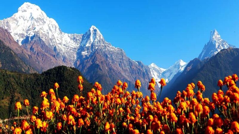 7-Day Poon Hill Trek with Guide and Accommodation - The Itinerary: A Step-by-Step Breakdown